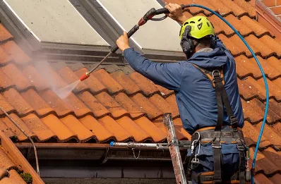 Démoussage et hydrofuge de toiture à la Loge